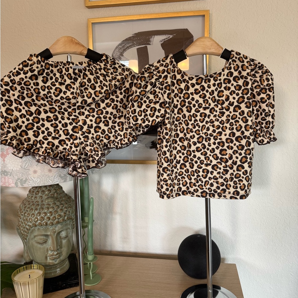 Leopard Print Top and Skirt Set